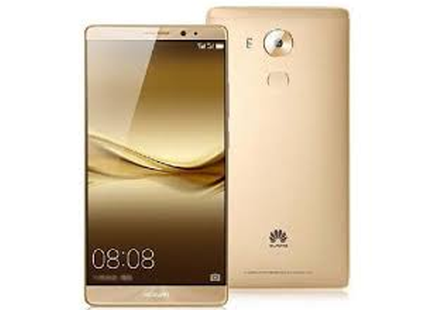 Champagne Gold